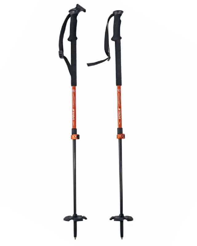 Camlock 2 Carbon Ski Pole