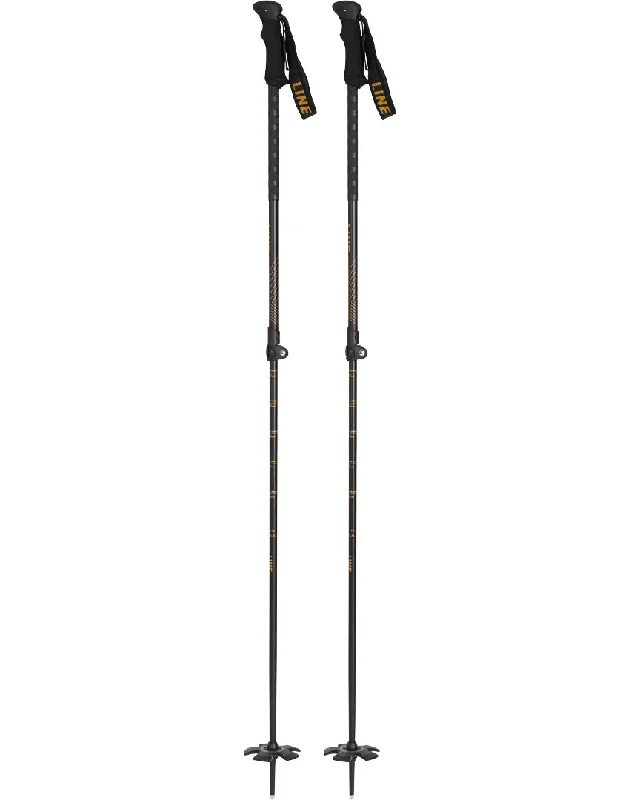 Vision Ski Poles - Black Gold