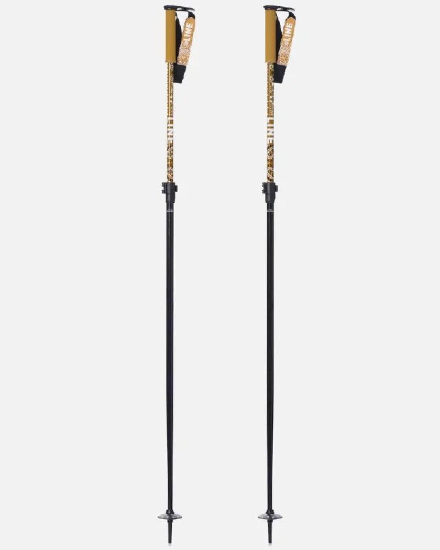 Paintbrush Ski Poles 2025