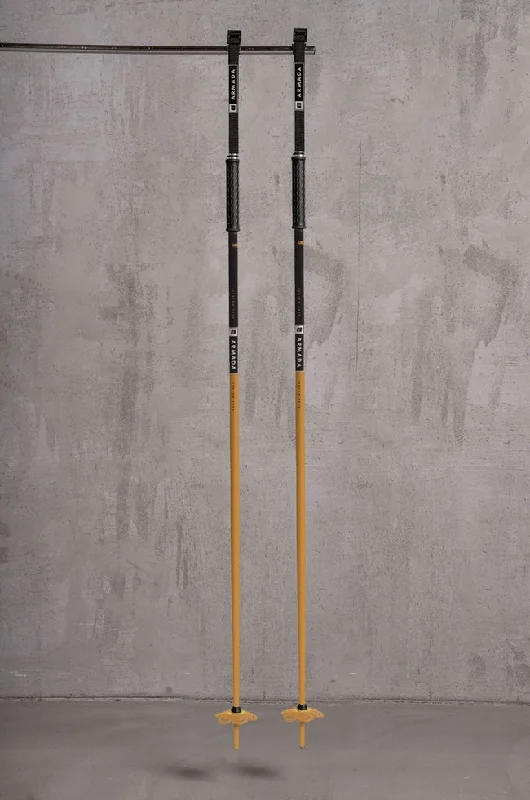 Armada LEGION Ski Poles 2024 - Black/Bronze